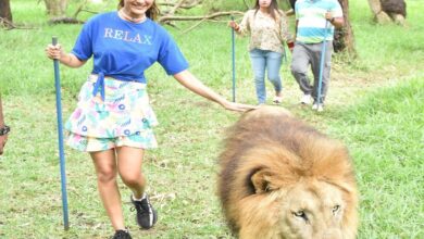 Jasmine Bhasin poses with lion, enjoys ziplining at Mauritius wildlife park