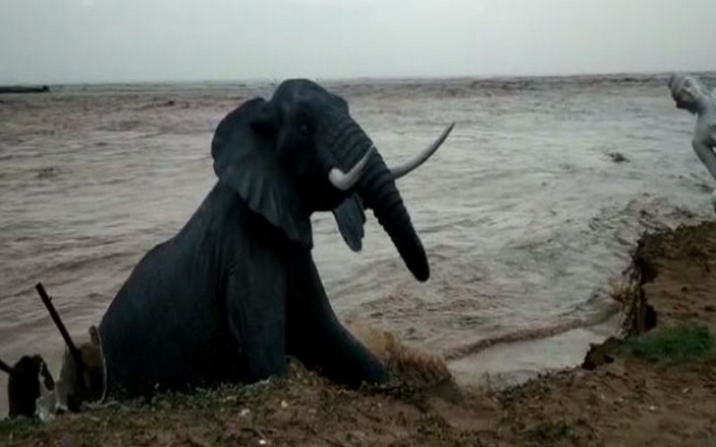 Andhra Pradesh: Animal statues erected along sea coast wash away