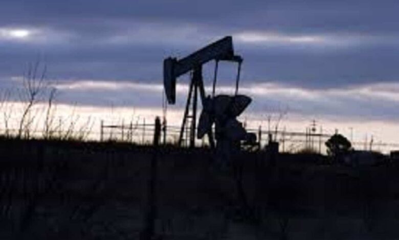 Oil