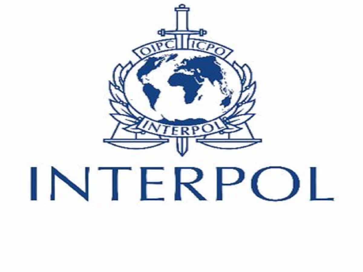 Where Will Interpol Red Notice Removal & Protection Be 6 Months From Now?