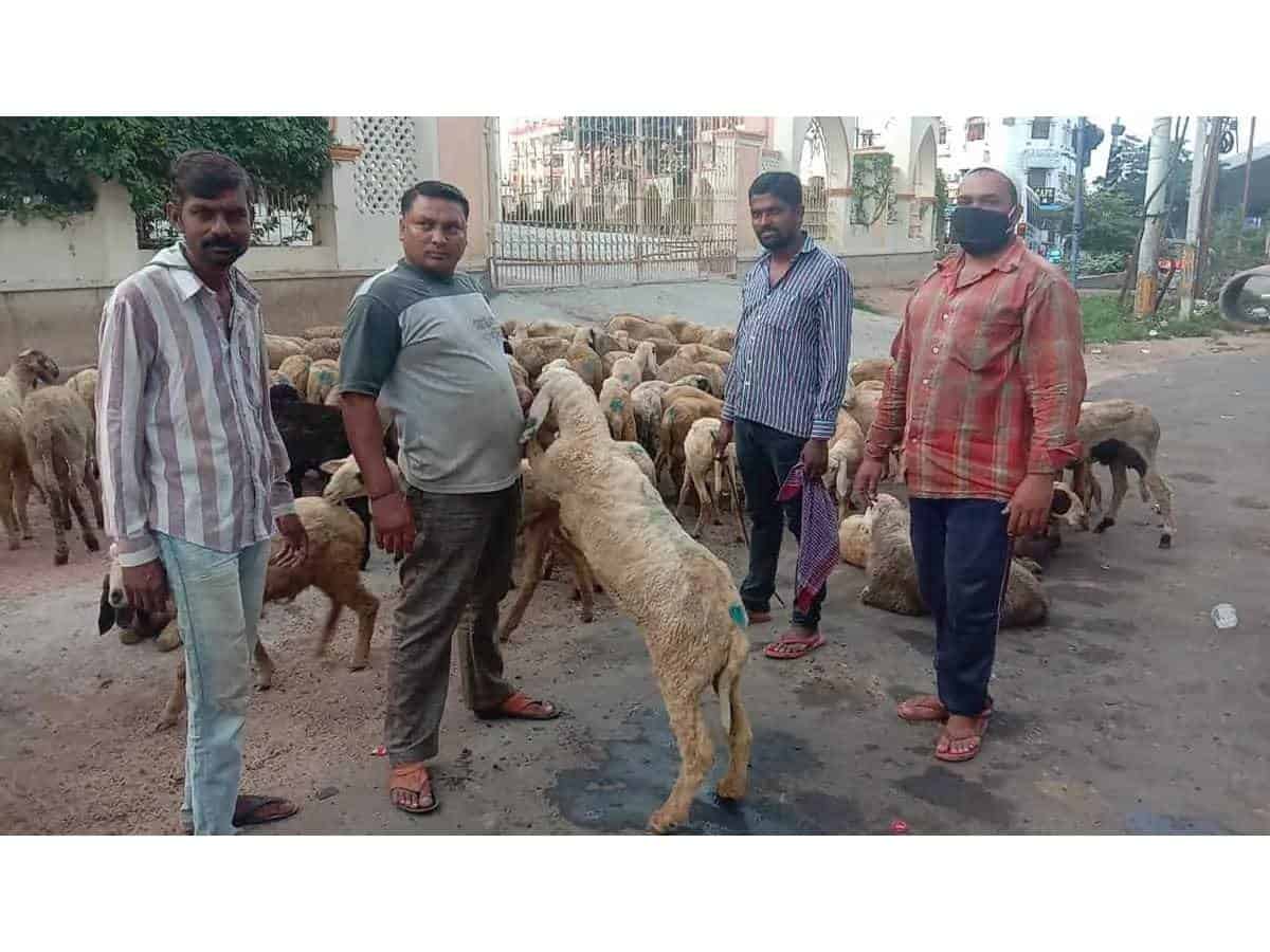 Eid-ul-Adha butchers to charge more for 'Qurbani'