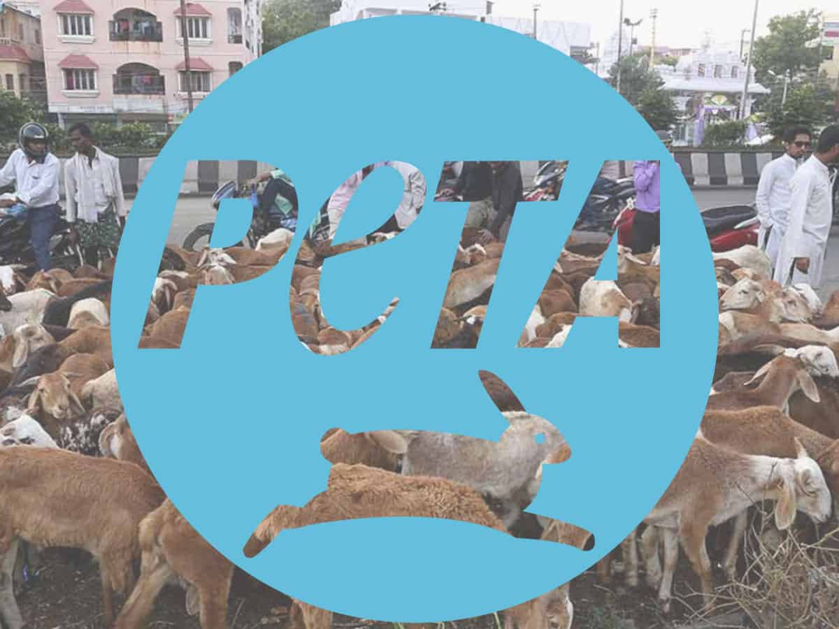 Ahead of Bakrid, Peta campaigns to save goats