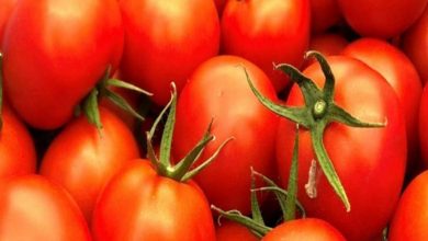 Japan's ketchup producer stop Xinjiang tomato imports over rights abuse