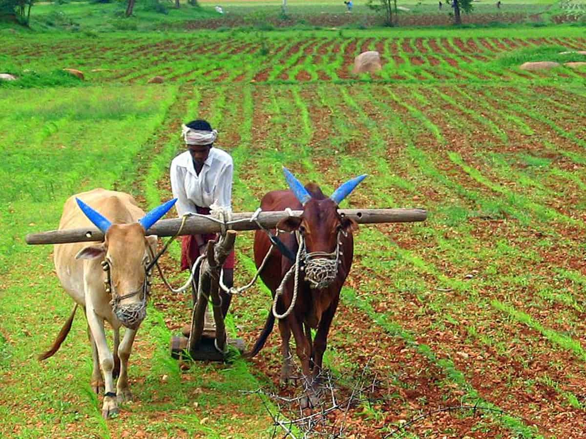 Telangana revolutionises farming with developmental programmes'