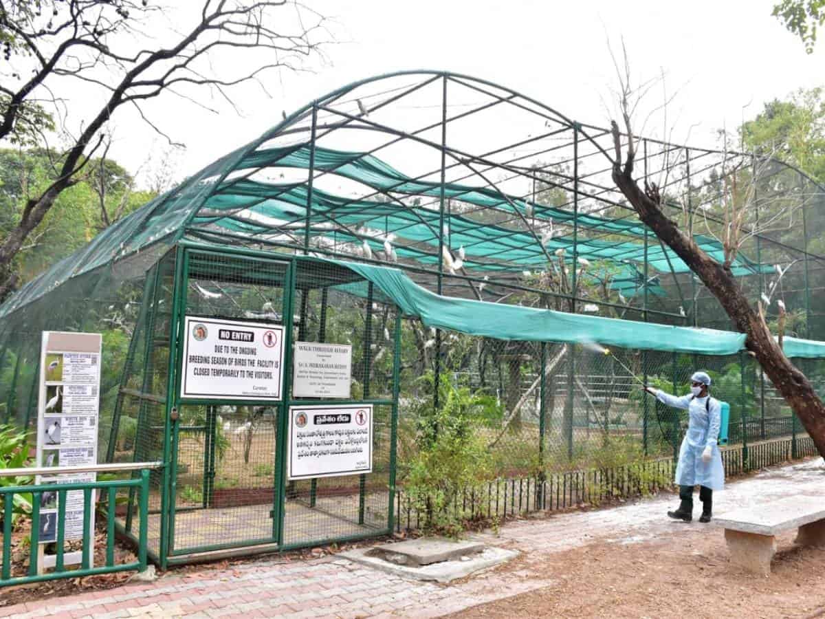 nehru zoological park - Page 2 of 5 - The Siasat Daily