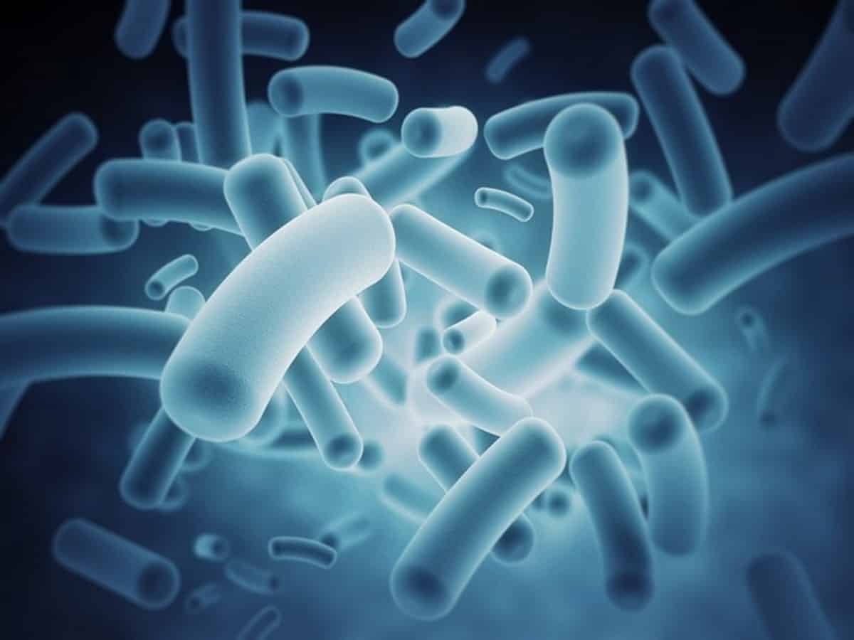 Photo of L’étude a révélé qu’une seule cure d’antibiotiques affectait le microbiote intestinal des nourrissons