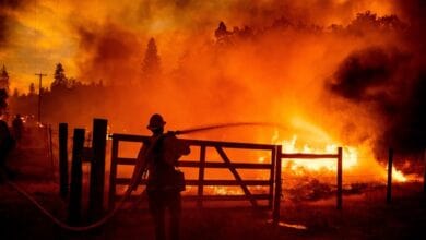 Wildfire prompts evacuation orders in Canadian subdivisions