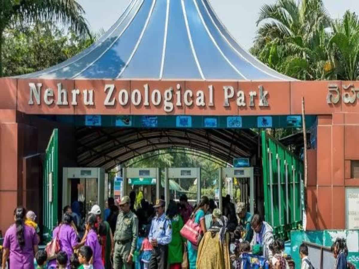 Hyderabad: Nehru Zoo Park to celebrate diamond jubilee in October