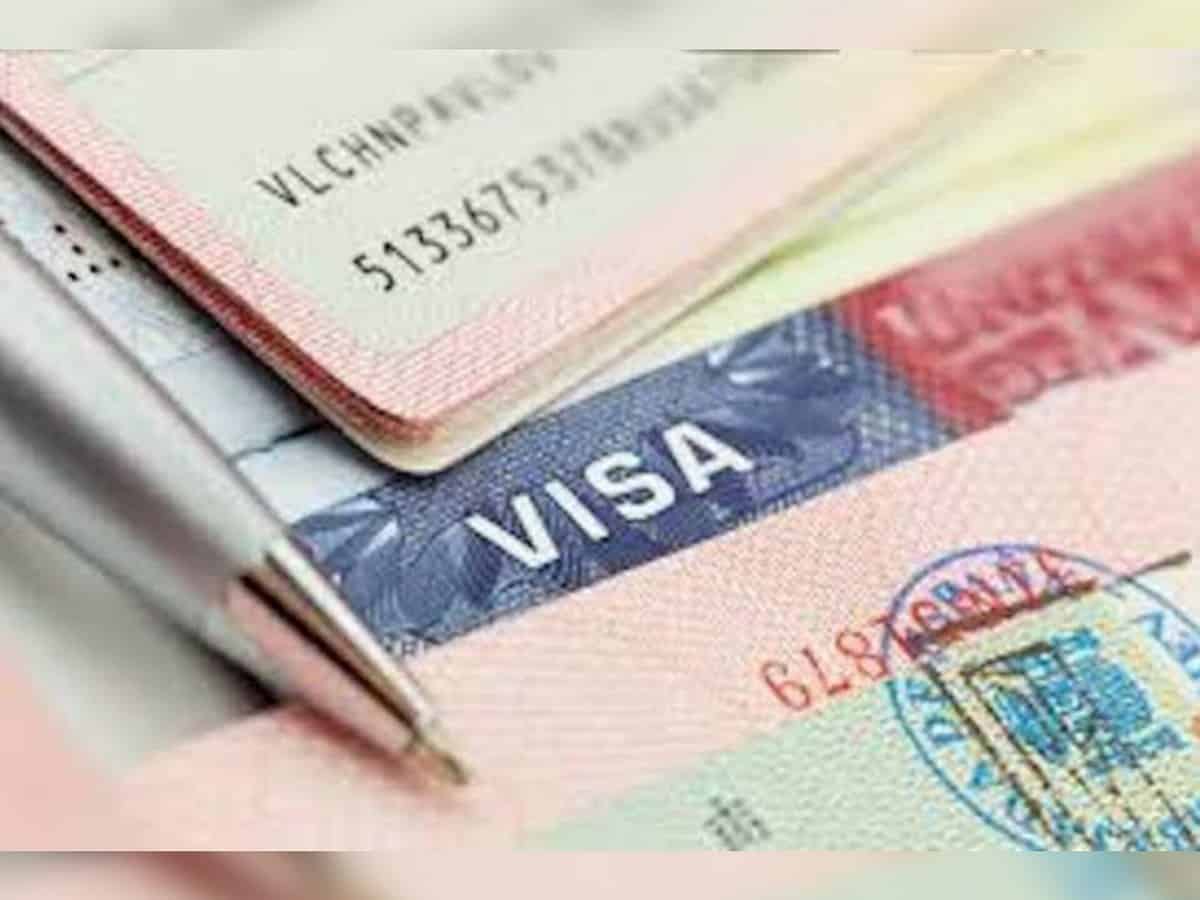 Over 79,000 golden visas issued in 2022