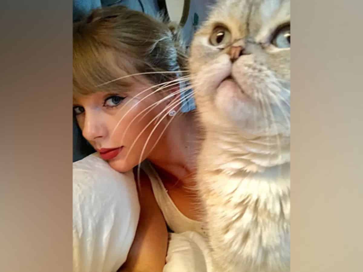 OMG! Taylor Swift's cat worth Rs 800 crore: Reports