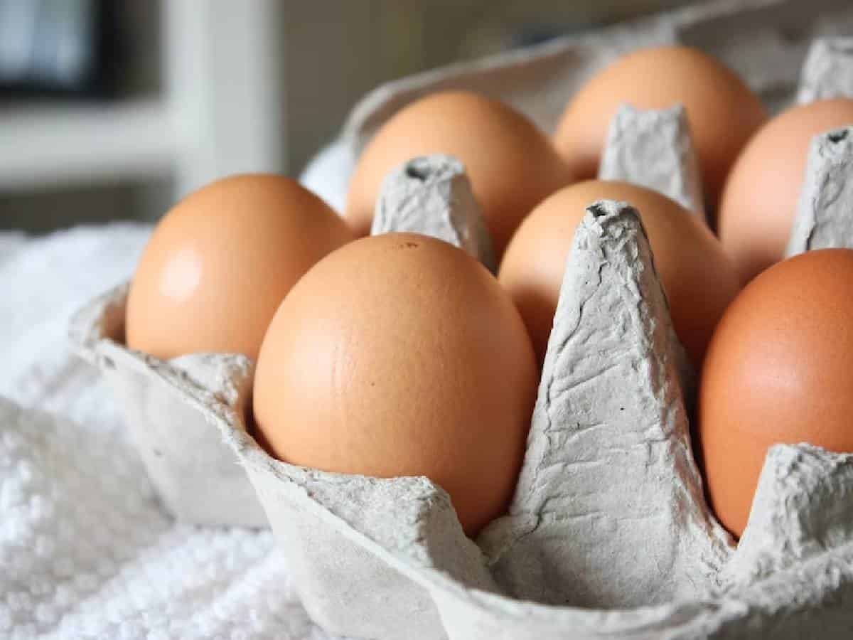 Egg prices surge amidst shortage in Hyderabad