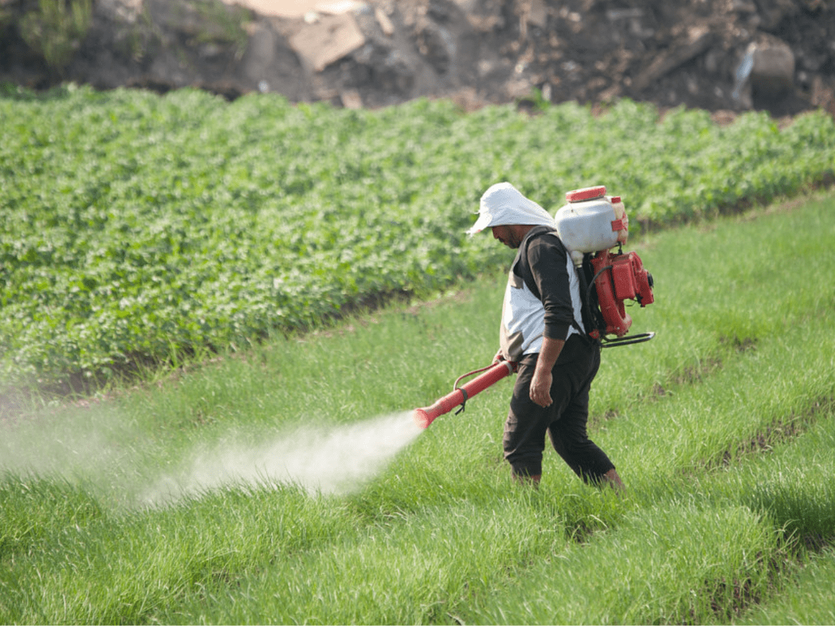 Почвенные пестициды. Сельскохозяйственное загрязнение. Пестициды в сельском хозяйстве. Ядохимикаты в сельском хозяйстве. Пестицидами и агрохимикатами.
