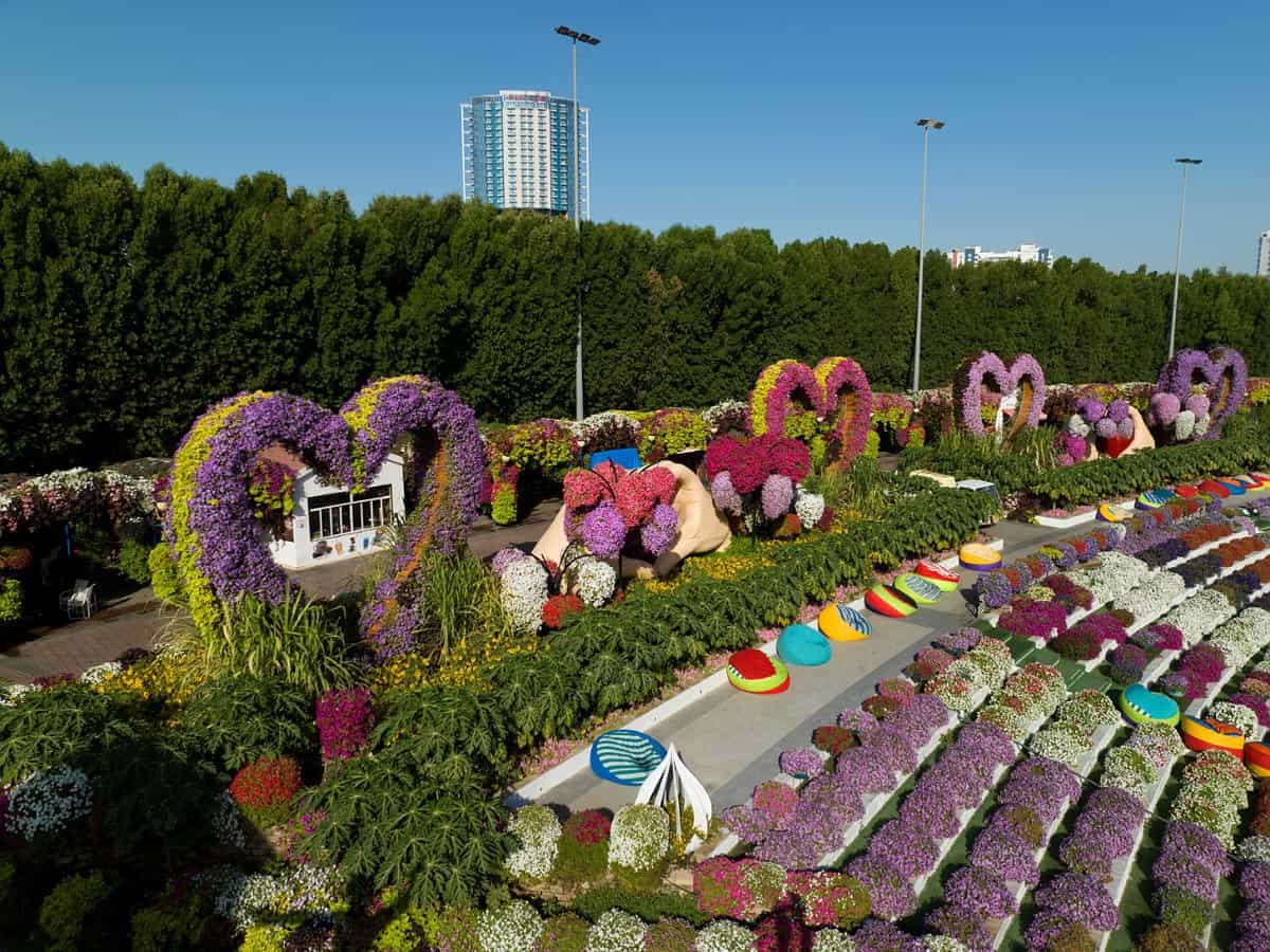 Dubai Miracle Garden Reopens New