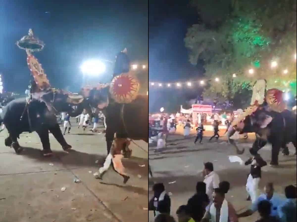 Watch: Elephants clash during Kerala's temple festival in Thrissur