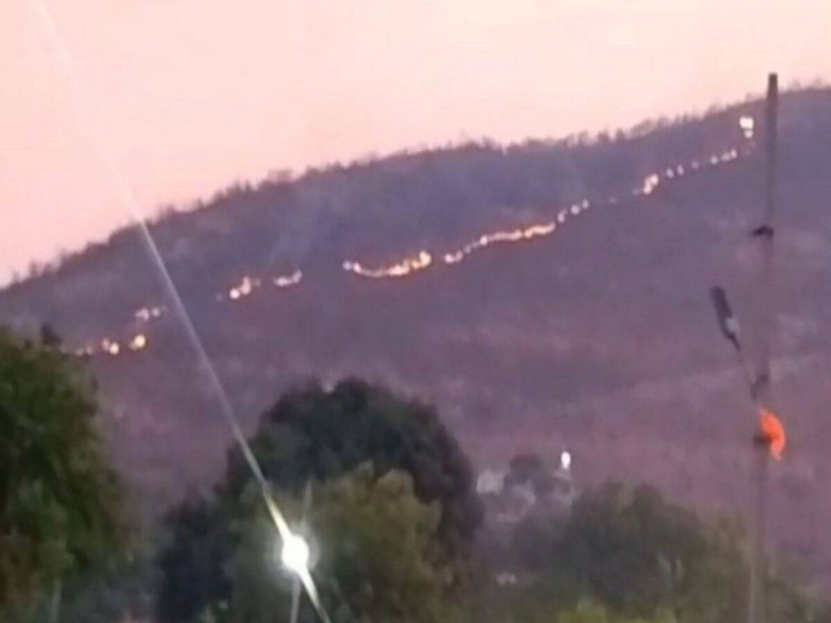 Wildfire breaks out in forest area
