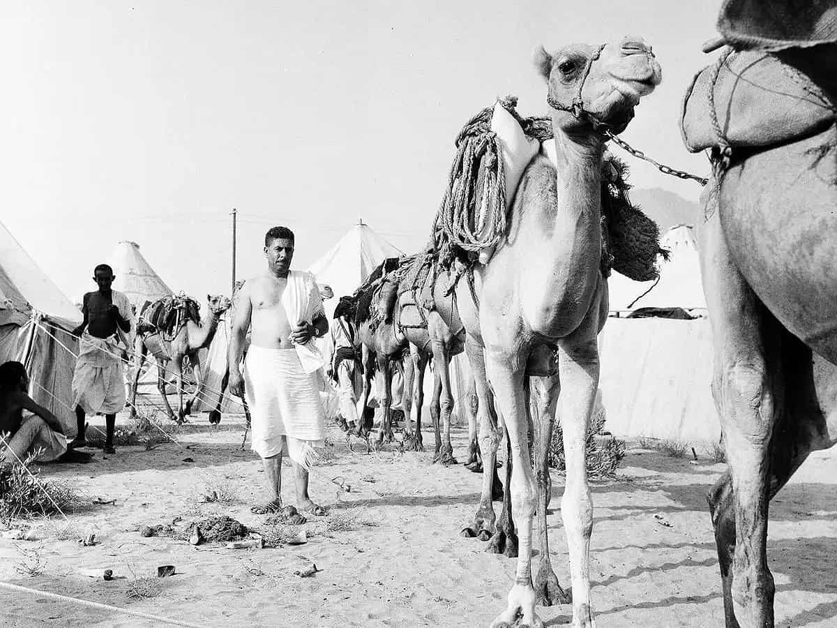 Walking the path of faith: A journey through ancient Haj routes
