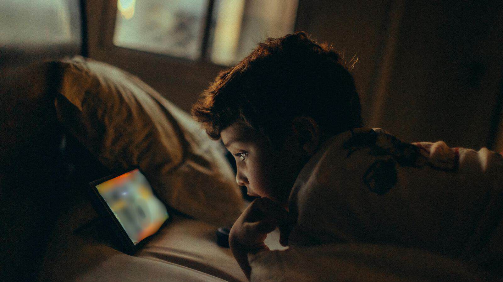Supreme Court bars paywalled child sexual abuse content