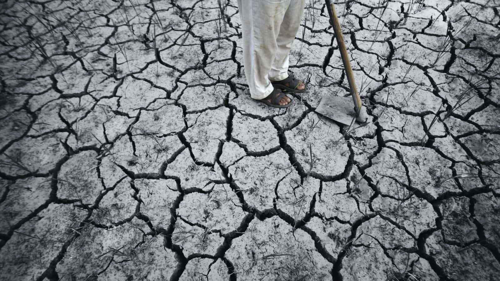 Six-member sub-committee to tackle El Nino effect in Telangana